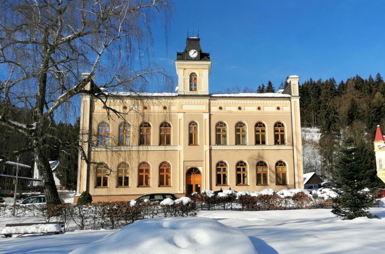 Apartment Pod Strechou Svoboda nad Upou